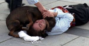 Leia mais sobre o artigo Cachorro de rua interrompe peça de teatro para salvar ator que fingia estar ferido