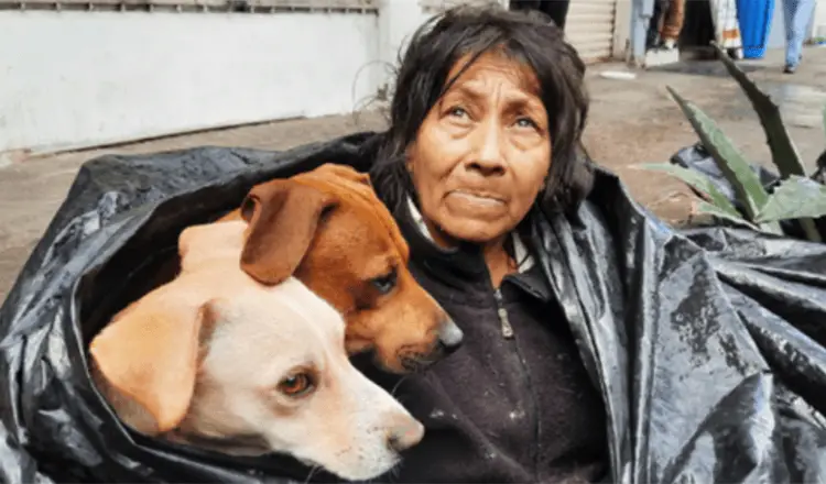 Você está visualizando atualmente Mulher sem-teto se recusa a deixar seus 6 cachorros por uma cama quente em um abrigo