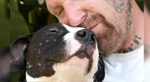 Leia mais sobre o artigo Homem faz a diferença e cria uma organização capaz de salvar diversos Pit Bulls