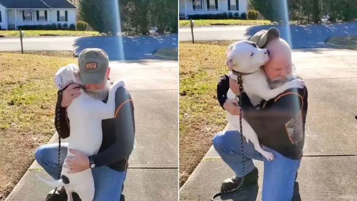 Você está visualizando atualmente Cãozinho conhece seu novo dono e não consegue parar de abraçá-lo após ser resgatado de um abusador