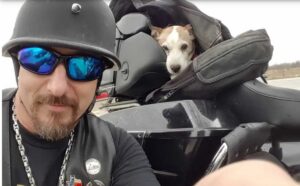 Leia mais sobre o artigo Motoqueiro vê homem maltratando cachorro e o resgata para ser seu novo melhor amigo